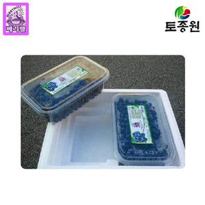 친환경블루베리 냉동생과 4kg 1kgx4  전북고창 선운산농협