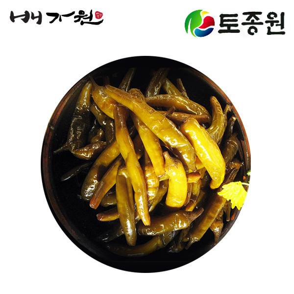 고추 장아찌(500g) 매운맛 청양골 직접농사국산재료